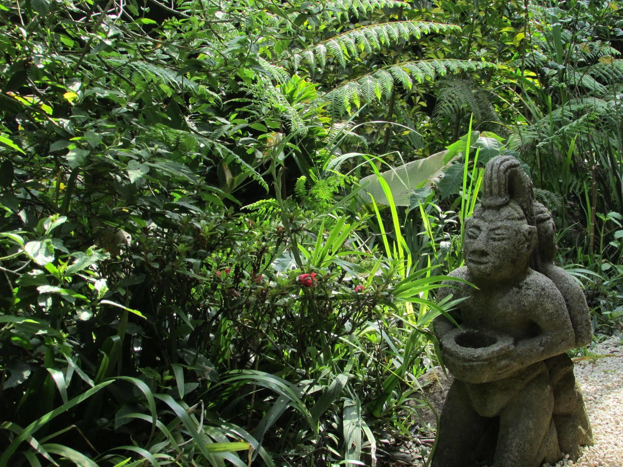 Bed and breakfast Mariposa Monteverde